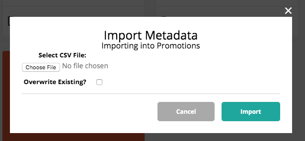 export5.png